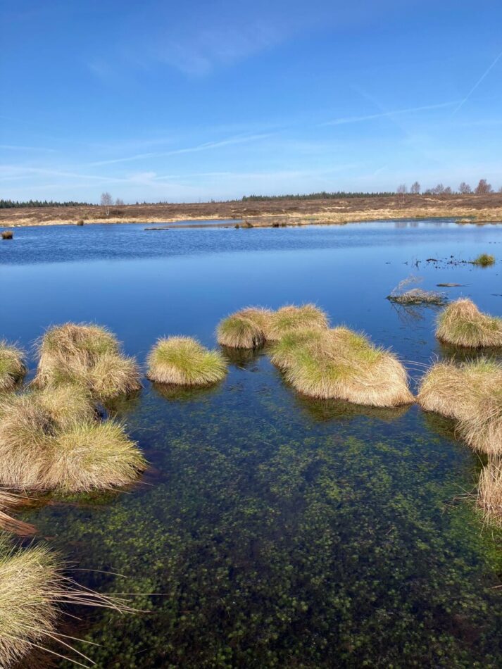 Das Brackvenn Moorlandschaft in der Nußschale Naturzentrum Haus