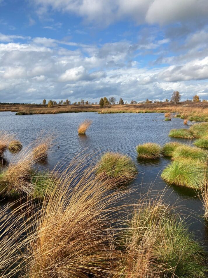 Das Brackvenn Moorlandschaft In Der Nu Schale Naturzentrum Haus