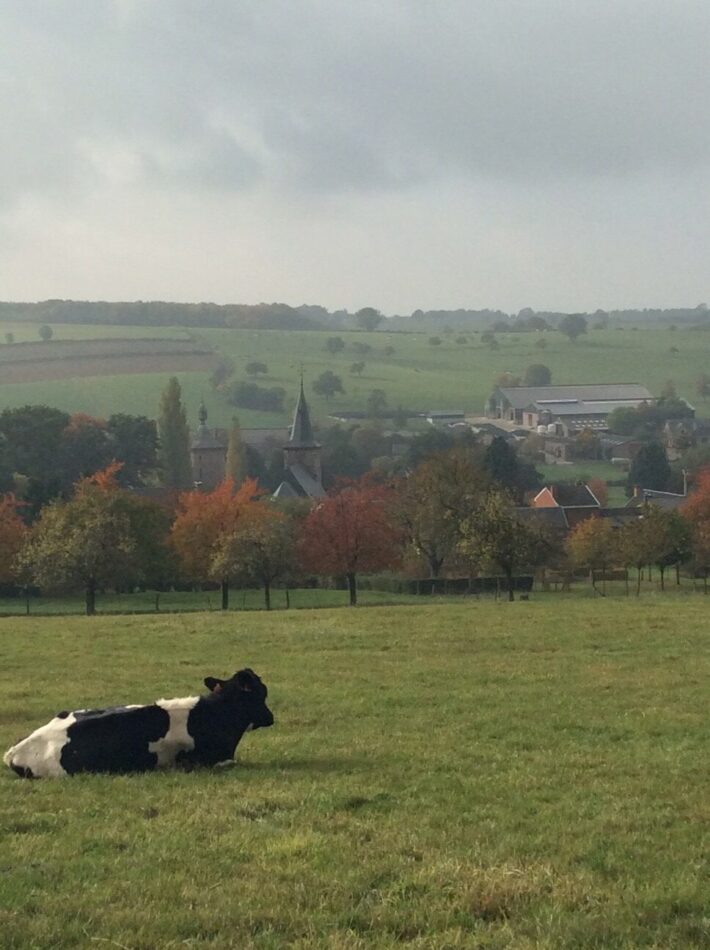 Herbst Im Voergebiet Naturzentrum Haus Ternell CRIE