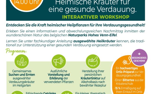 40066086 BEL 20260702-interactiv (1)
