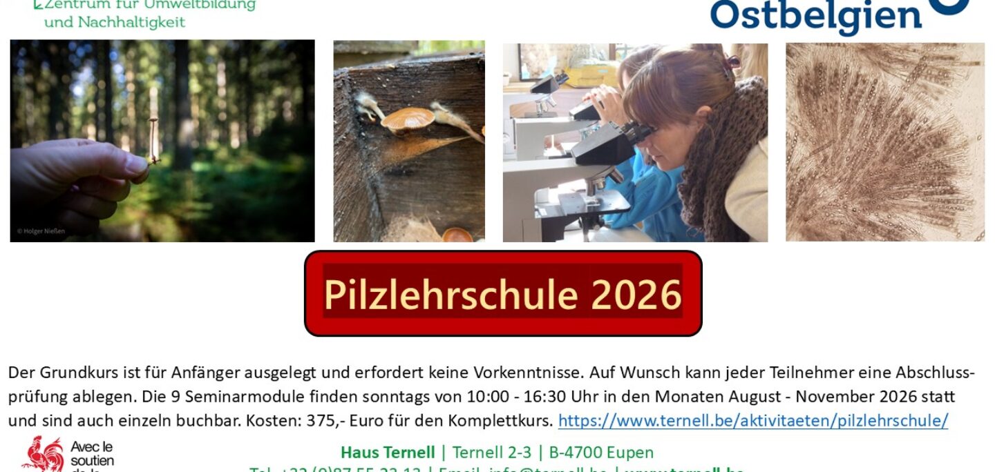 Anzeige PLS 2026