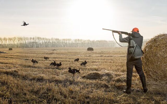 jaegermann-mit-einer-waffe-waehrend-der-jagd-auf-wildvoegel-oder-wild-jagdbanner_106035-2176