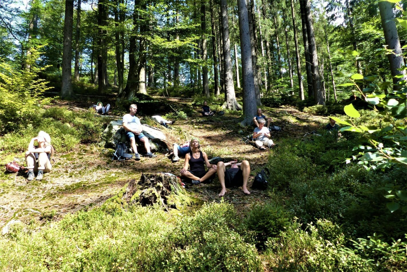 Waldbaden - Shinrin Yoku: Die Atmosphäre Des Waldes Einatmen ...