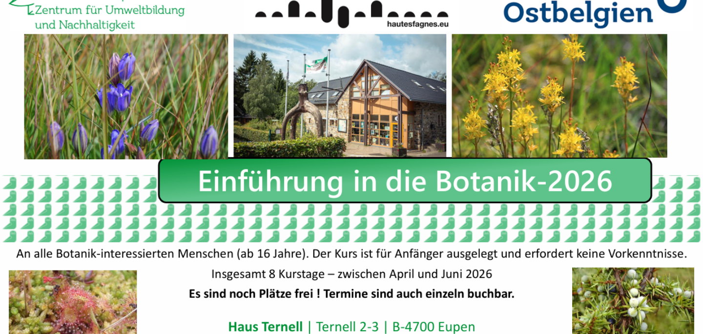 Screenshot 2026-02-23 134041