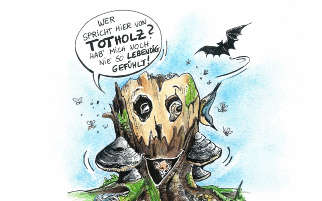 totholz