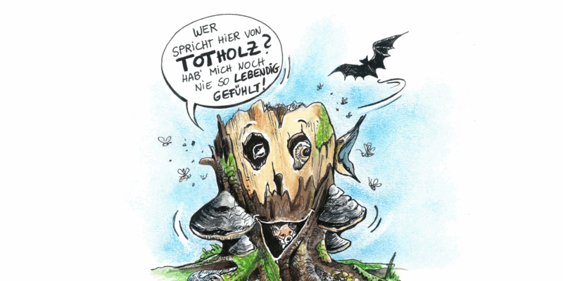 totholz.png